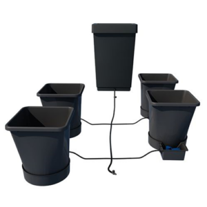 AutoPot