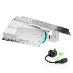 CFL Lighting