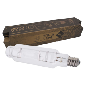 Metal Halides