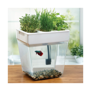 Micro Aquaponics