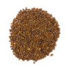 Organic China Rose Radish Microgreen Seeds