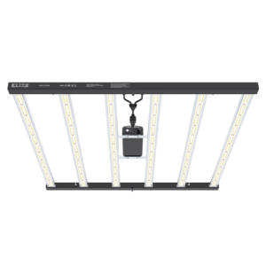 Elite 720w LED with Ballast